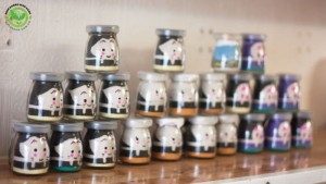 Lọ cát màu