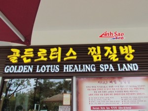 Thiết kế phù hợp hài hòa trang nhã với những đường nét tinh tế. Luôn chú trọng từ việc bài trí đến bố cục mẫu thiết kế nhằm cung cầu khách hàng của bạn đó là phương châm của công ty Ánh Sao Trẻ.