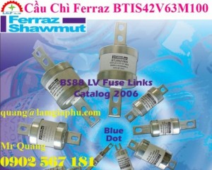 Cầu Chì Ferraz BTIS42V63M100, 63A, 415V, 80KA