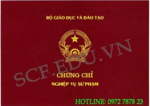 Địa chỉ học chứng chỉ nghiệp vụ sư phạm cho giảng viên cao đẳng-đại học