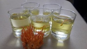 Cách chế biến ĐTHT sinh khối