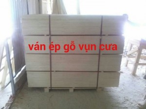 Cung cấp ván ép và viên nén vụn cưa