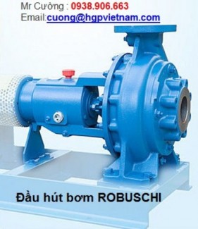 RD(RD-RDL-RDM), RB(RB-RBL-BBM).. Máy bơm nước ROBUSCHI tại Việt Nam