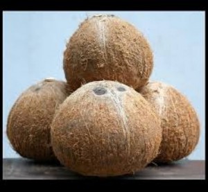 Chuyên cung cấp dừa ,trái cây giá sỉ