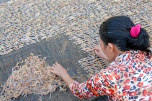 Khô nhái An Giang - Vũ nữ chân dài