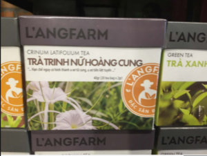 Tác dụng Trà Trinh Nữ Hoàng Cung và cách dùng đúng nhất