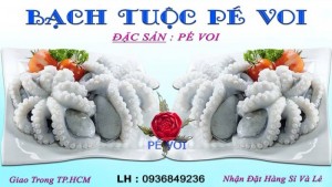 Bạch Tuộc Pé Voi Giao Tận Nơi Ở Thành Phố HCM