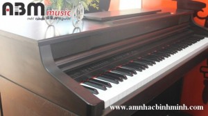 Đàn Piano điện Kawai PW610