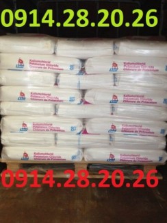 Bán KCL-Kali-Clorua-Potassium-Chloride cấp độ dược phẩm