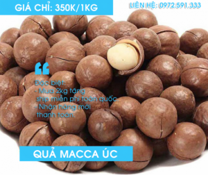 Bán quả óc chó mỹ hardlay