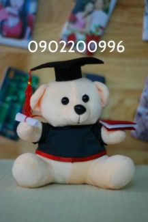 gấu tốt nghiệp giá rẻ
