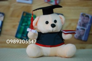gấu tốt nghiệp, gấu cử nhân đà nẵng