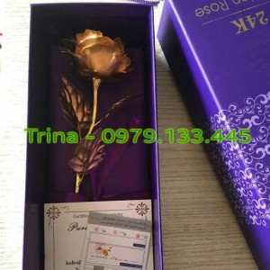 Hoa hồng mạ vàng 24k (Miễn phí giao hàng toàn quốc)