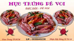 Mực Trứng Pé Voi Cực Ngon Giao Ở Thành Phố HCM