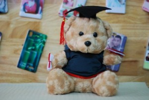 gấu tốt nghiệp teddy lông xù