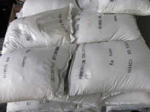 Ammonium Chloride, Amoni clorua, Muối Lạnh, NH4CL