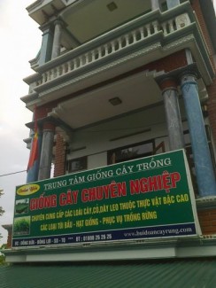 Trung tâm giống cây lâm nghiệp bùi đoàn