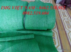 Lưới che nắng Việt Nam nhựa PE màu xanh