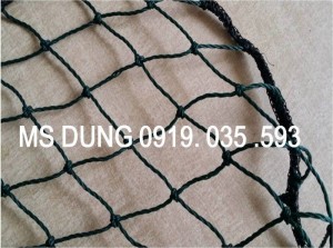 Lưới tennis lưới bóng đá lưới công trình xây dựng