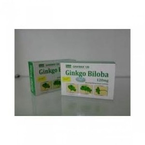 Ginkmax 120mg hộp 100 viên
