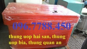 Bán Thùng giữ lạnh 800 lít, thùng lạnh quán ăn, nhà hàng