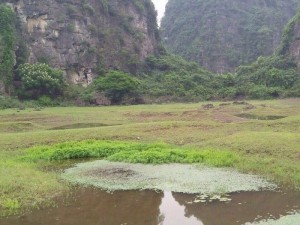 Bán 4ha Đất Trang trại Lợn đã Đầy Đủ Giấy Tờ Thủ Tục