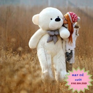 Gấu BOYDS Trắng