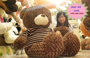 Gấu TEDDY má Hồng