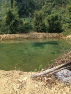 Bán 4ha Đất Trang trại Lợn đã Đầy Đủ Giấy Tờ Thủ Tục