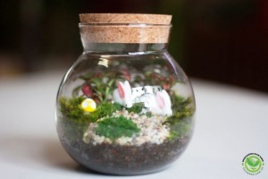 Quà tặng độc, tiểu cảnh trong lọ, terrarium