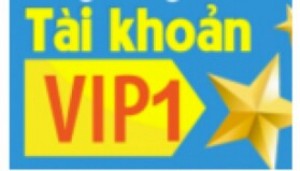 Lên VIP đầu tư kinh doanh hiệu quả hơn.