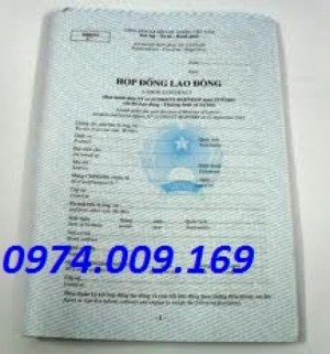Hợp đồng lao động