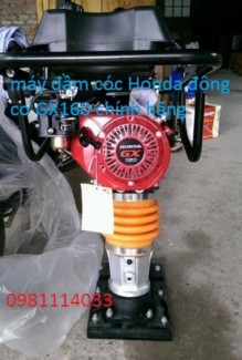 Mua máy đầm cóc động cơ Honda HCR80K rẻ nhất ở đâu