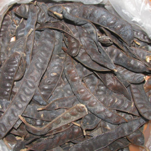50.000 đ/kg
Hướng dẫn dùng bồ kết gội đầu :
1. Gội đầu bằng bồ kết nguyên chất : Sử dụng khoảng 300g quả bồ kết khô và nấu với một lượng nước vừa đủ để bạn có thể gội đầu. Bạn nấu nước bồ kết và pha thêm với nước lạnh bên ngoài và gội đầu đều đặn. Bạn sẽ thấy một mái tóc dày dặn, óng ả sẽ là của bạn đấy. Đây chính là cách trị rụng tóc đơn giản từ bồ kết mà bạn có thể áp dụng đều đặn
2. Hương nhu và bồ kết : Đây cũng đc xem là một sự kết hợp tuyệt vời để giúp mái tóc dày dặn và óng ả hơn. Cây hương nhu trắng có chứa tinh dầu, làm ra mồ hôi, làm thông thoáng da đầu, nhẹ đầu, sảng khoái khi gội đầu, giúp tăng lưu thông khí huyết dưới da, kích thích mọc tóc mới. Khoa học hiện đại đã chứng minh tinh dầu hạt hương nhu có tác dụng anti-oxydant, chống nhiễm khuẩn. Bạn có thể nấu chung hương nhu với quả bồ kết thành hỗn hợp và gọi đầu hàng tuần để cảm nhận một mái tóc dày và mềm hơn mỗi ngày nhé
