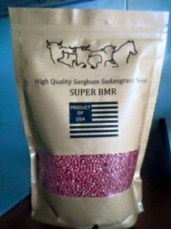 HẠT giống cỏ Supper BMR