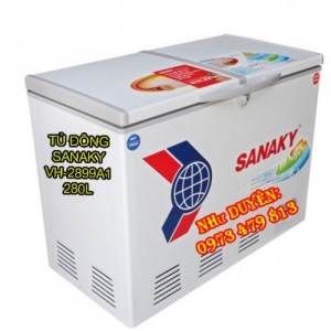 Mua ngay tủ đông Sanaky VH-2899A1 280 lít với giá rẻ nhất