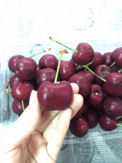 Cherry mỹ trái to size 9 500k/1kg