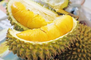 Sầu riêng hái vườn nhà không dùng, không hóa chất