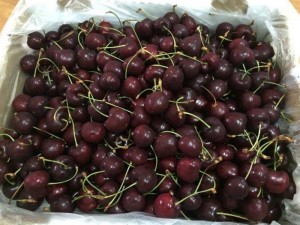 Cherry Mỹ