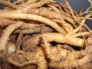 Bán nguyên liệu cao khô Đinh lăng (tan hoàn toàn)