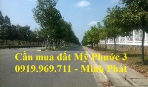 cần mua lô l40 Mỹ Phước 3