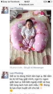 Gối chống trào ngược có đai cao cấp: vỏ gối 100% Cotton Hàn