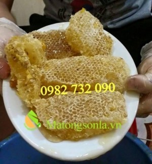 Mật ong rừng nguyên tổ