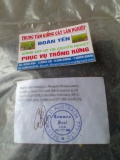 Hạt giống keo úc nhập ngoại