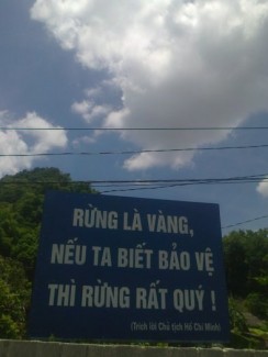 Hạt giống keo úc nhập ngoại