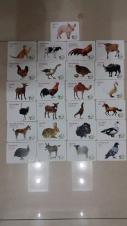 Thẻ Học 16 Chủ Đề Song Ngữ Cho Bé