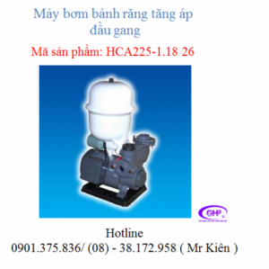 Máy bơm tăng áp đầu gang NTP HCA225-1.18 26