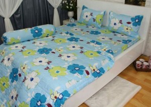 Drap Thắng Lợi 4232