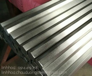 sus310s dị hình