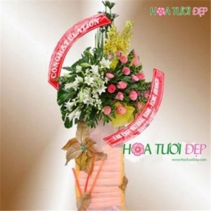 Hoa Khai Trương KT030, 660.000đ